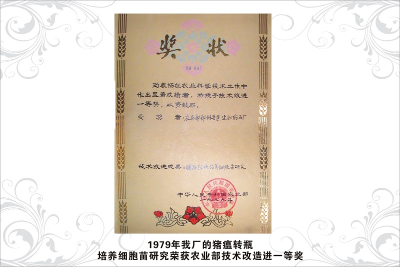 7農(nóng)業(yè)部技術(shù)改進(jìn)一等獎（1979年）.jpg
