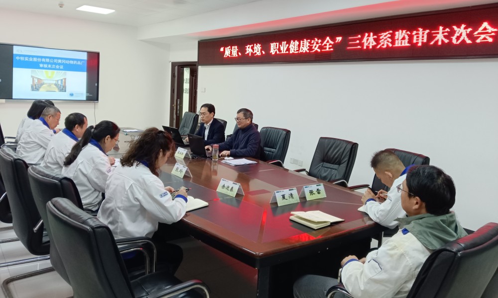 黃岡廠順利通過三體系監(jiān)督審核附圖2_副本.jpg