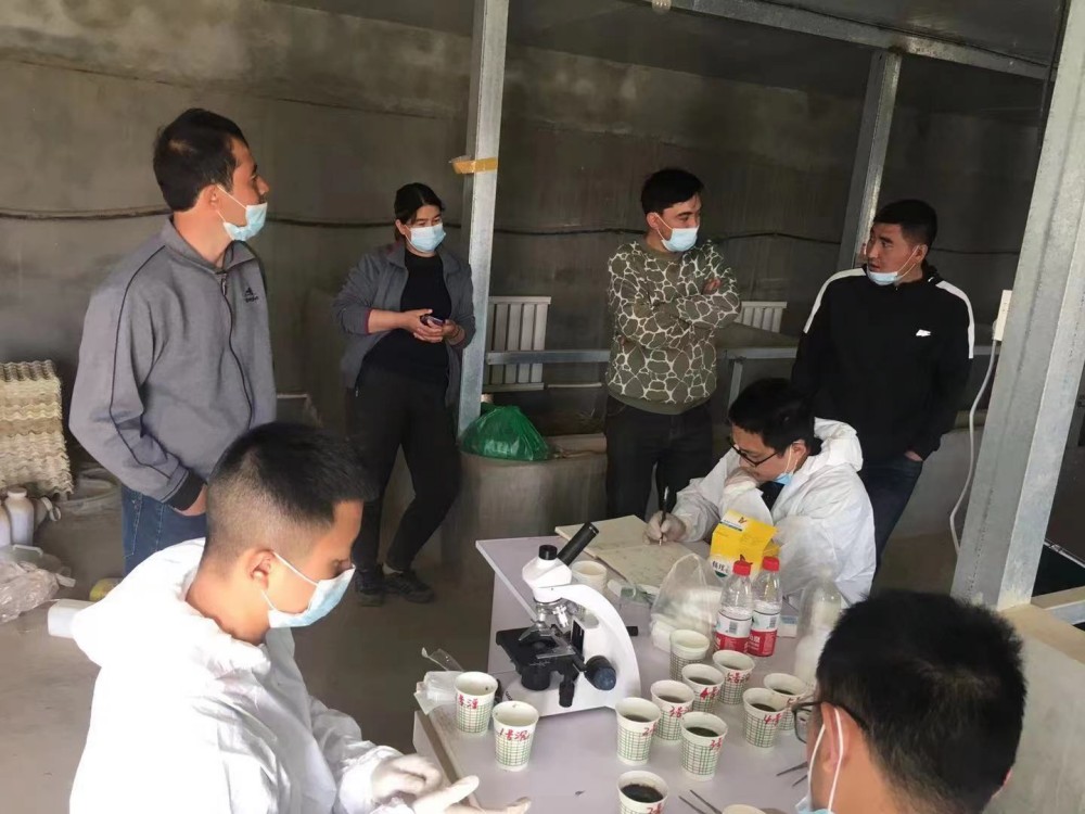 2_副本.jpg 2_副本.jpg