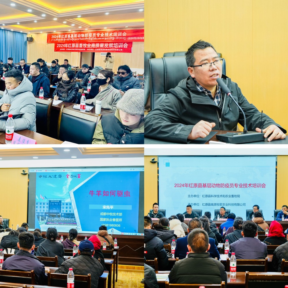 3_副本.jpg 3_副本.jpg