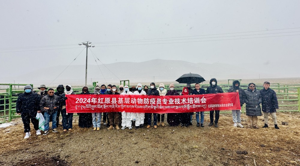 5_副本.jpg 5_副本.jpg