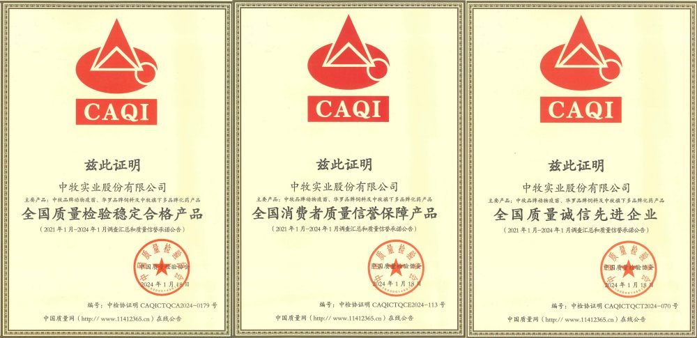 三個獎項拼接_副本.jpg 三個獎項拼接_副本.jpg