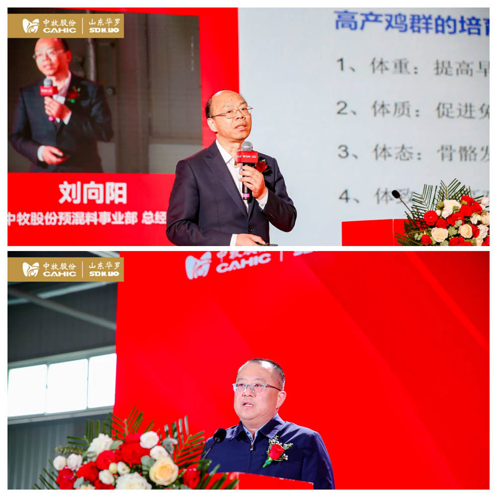 拼圖 -博士-郯城縣領(lǐng)導(dǎo)_副本.jpg