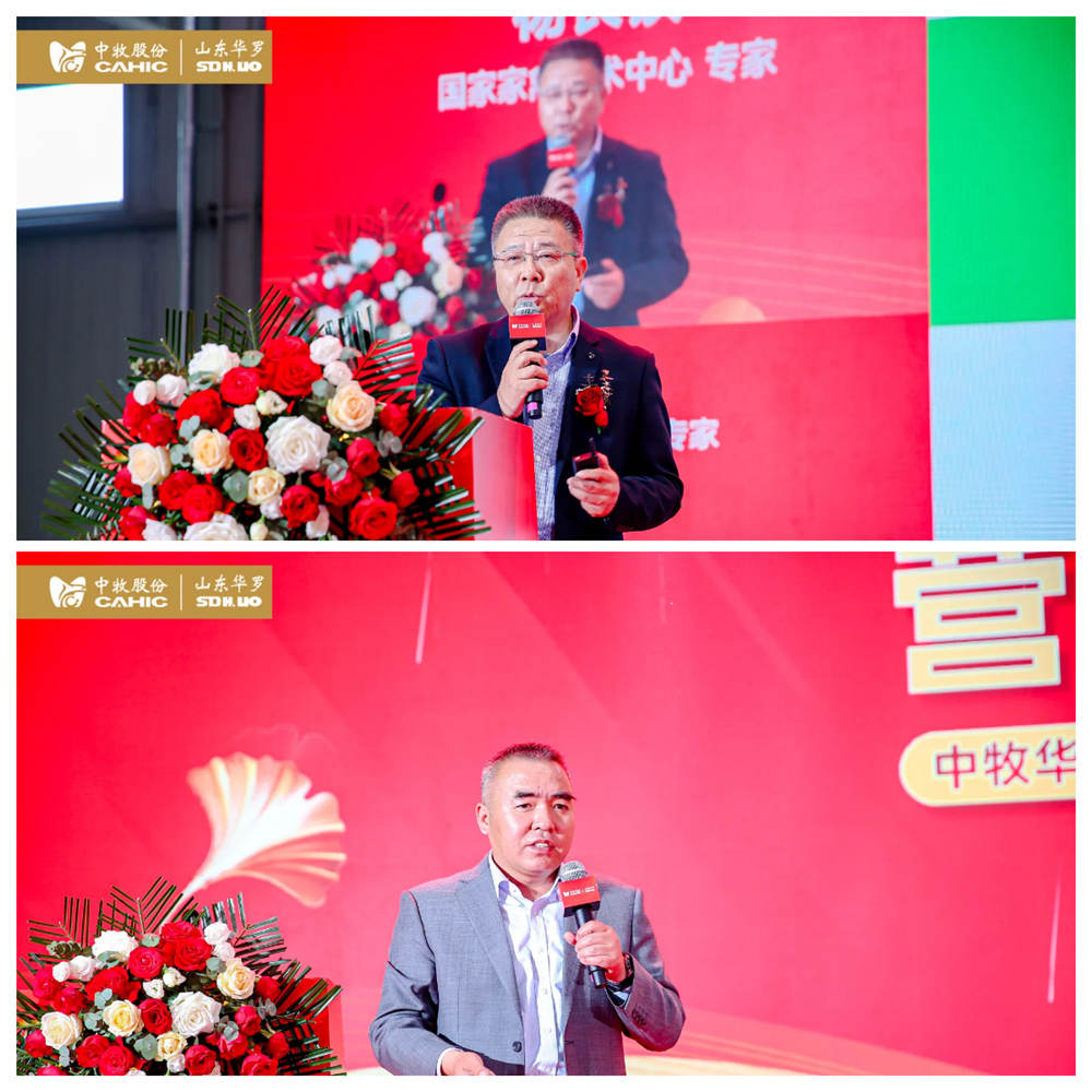 拼圖  呂總-楊長(zhǎng)鎖老師_副本.jpg