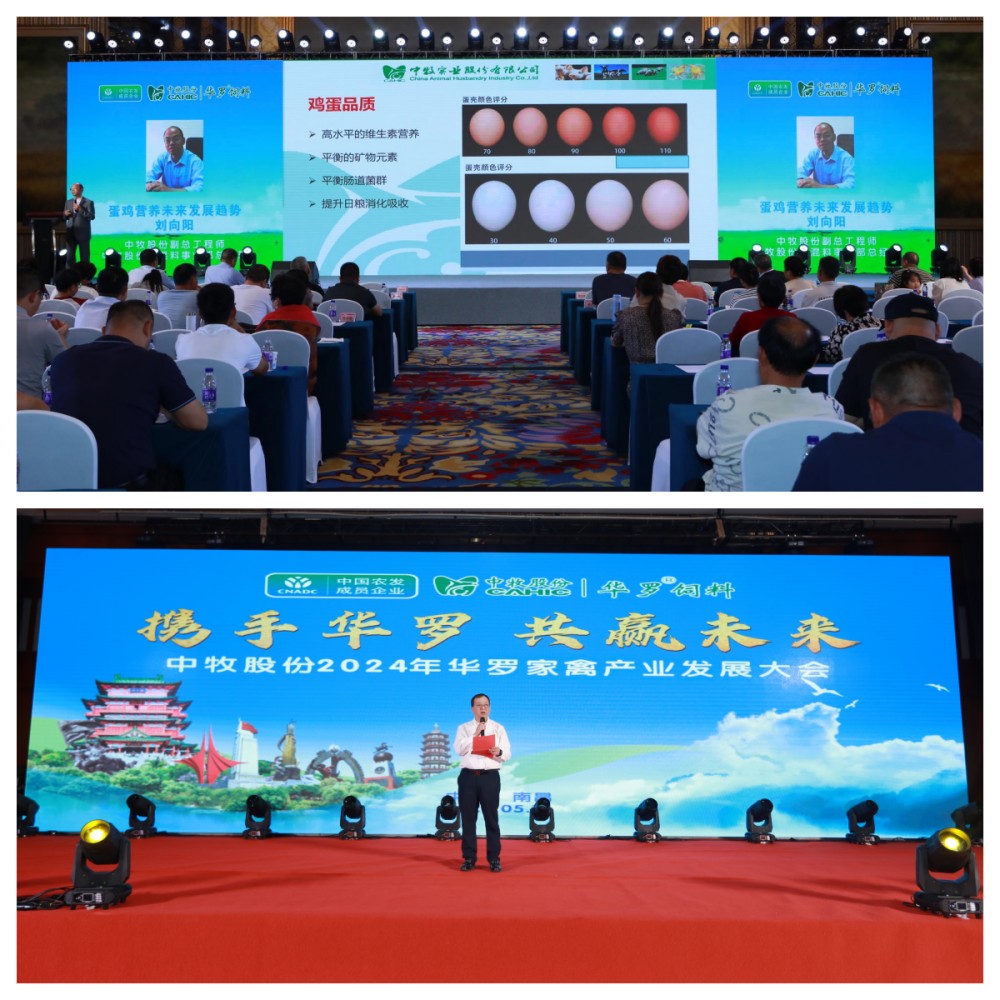 ??4_副本.jpg ??4_副本.jpg