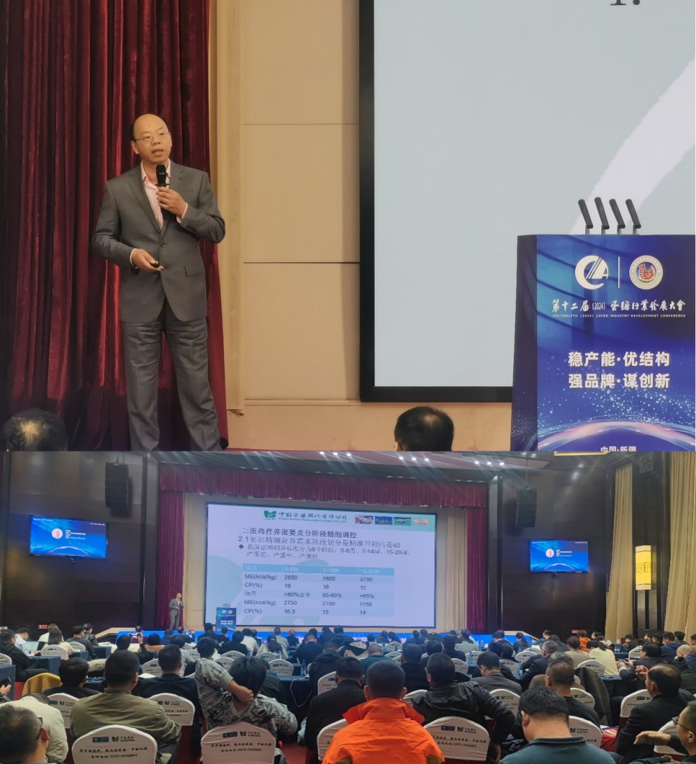 圖片4_副本.jpg 圖片4_副本.jpg